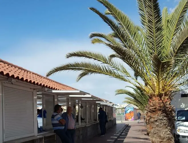 Toronjil Costa del Silencio